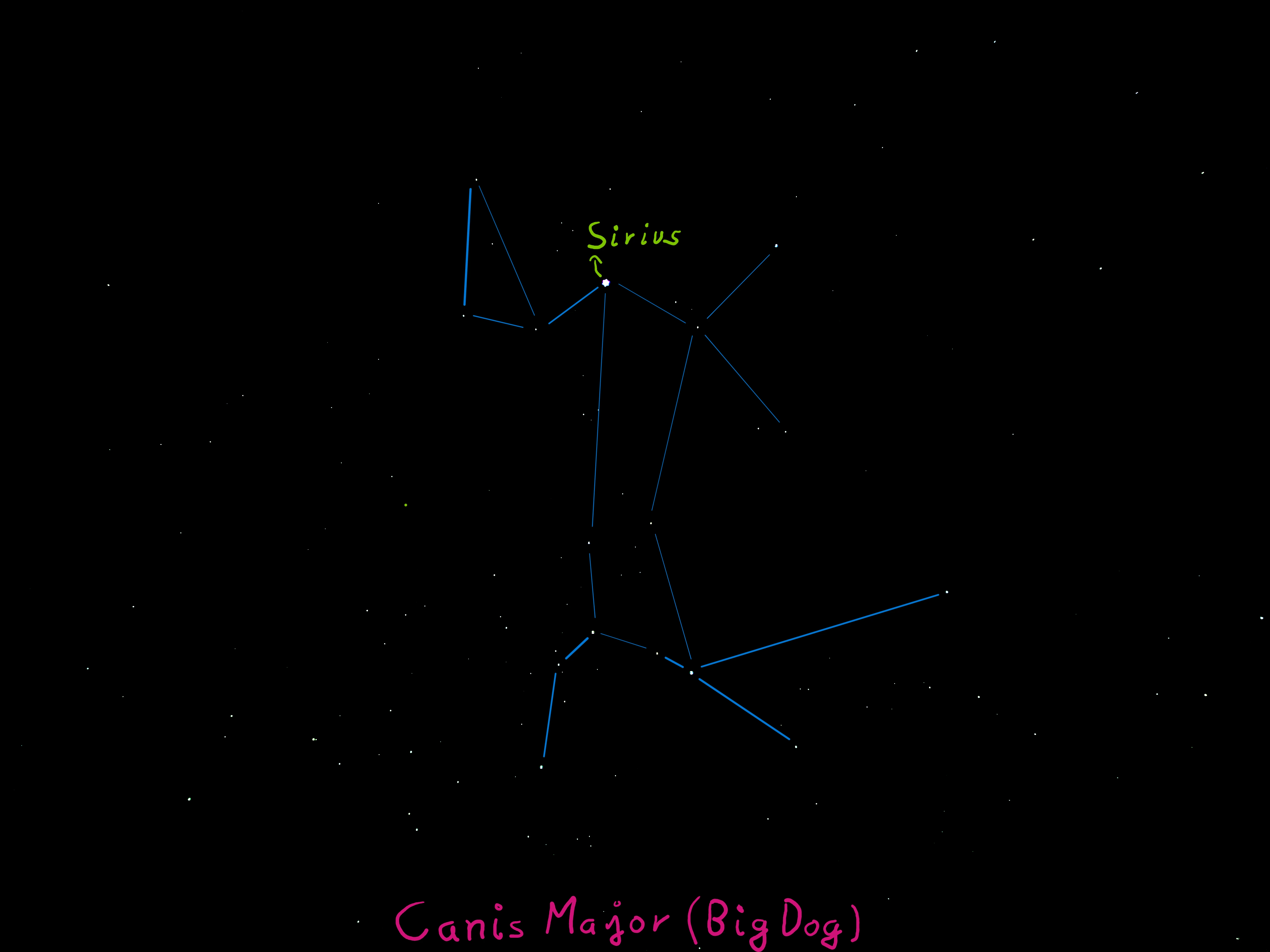 Canis Major