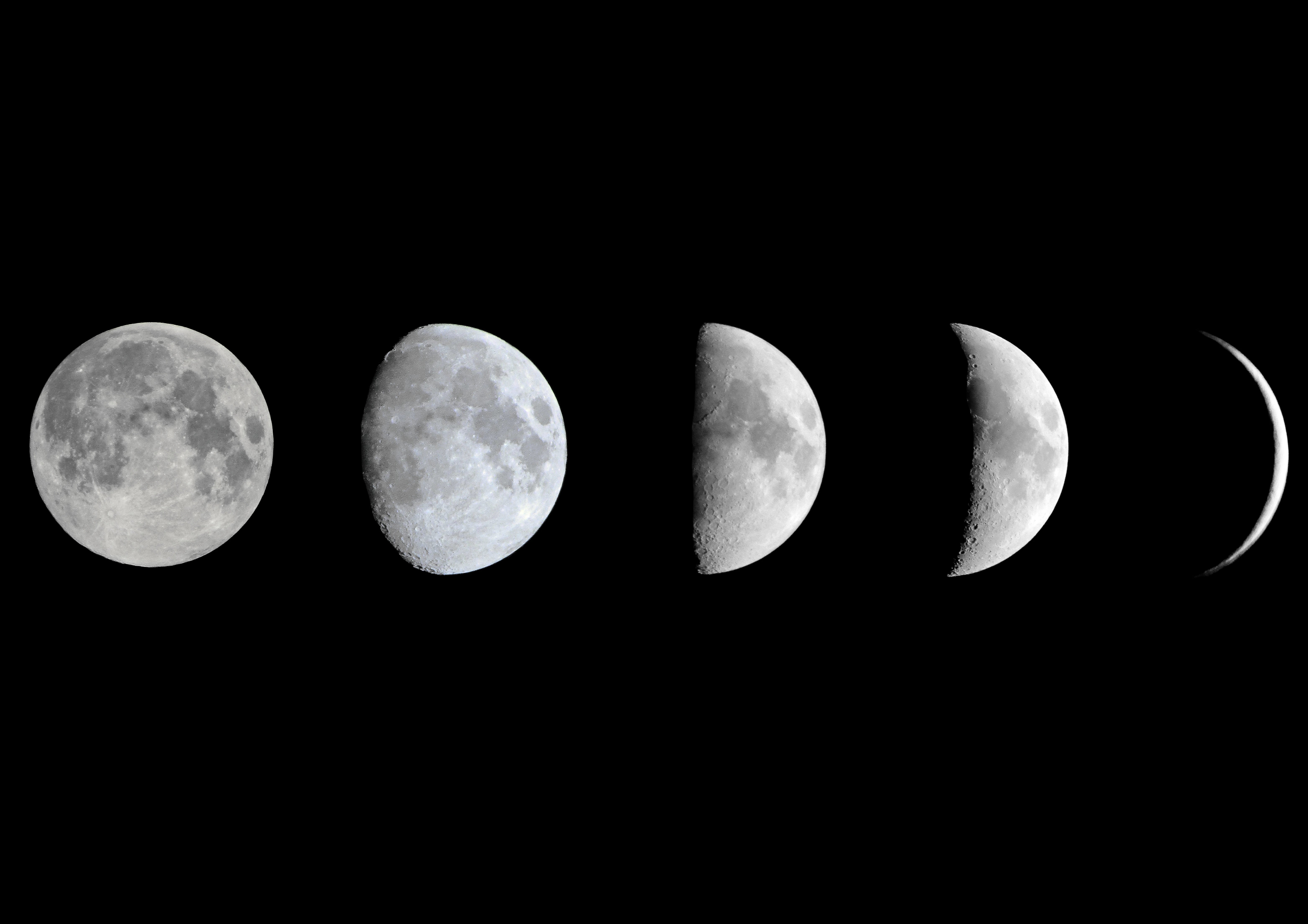 Moon Phases