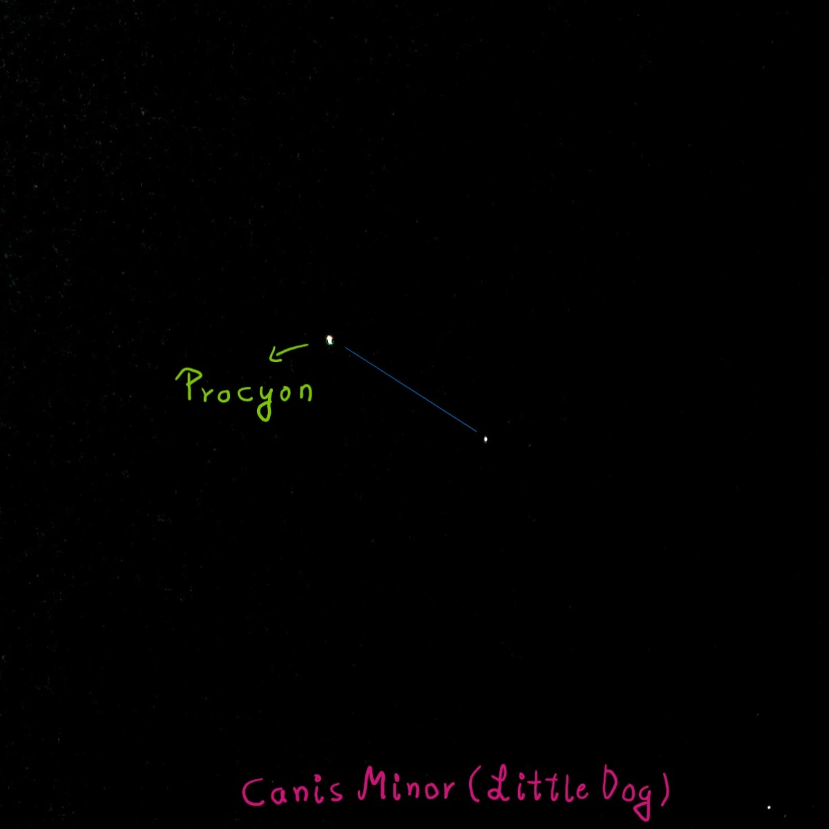 Canis Minor